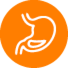 Stomach icon